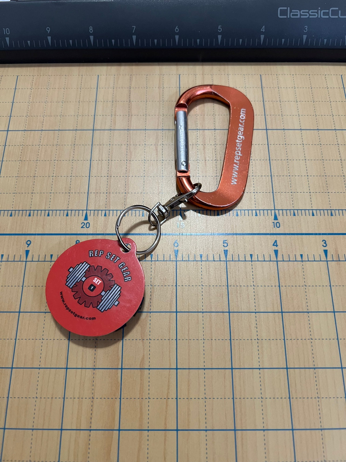 Carabiner and key tag, front view