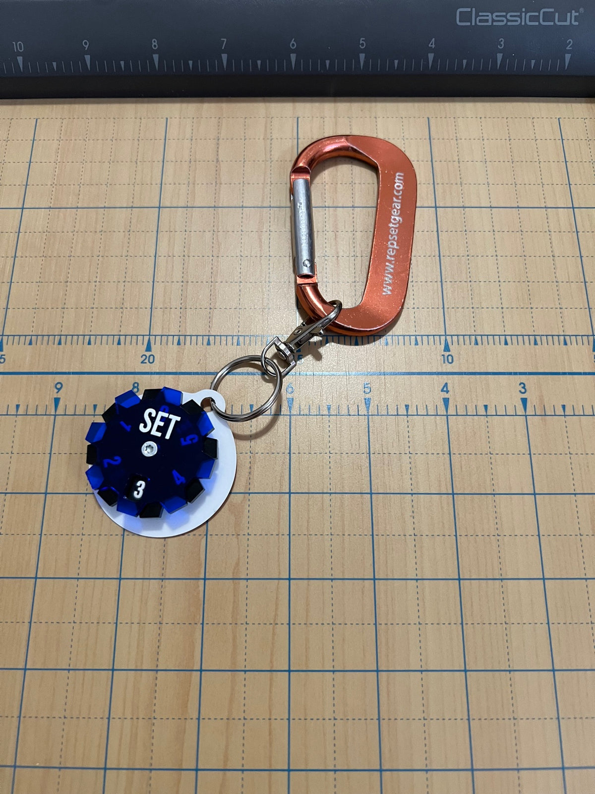 Carabiner and key tag, back view
